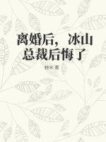 离婚后，冰山总裁后悔了