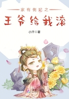 家有侧妃之王爷给我滚